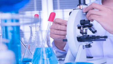 البحث العلمي ودوره في التنمية الاقتصاديَّة: كيف يؤثِّر العلم بوصفه قوة إنتاجيَّة في نهضة الأمم وتقدّمها؟