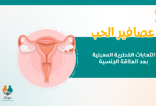 عصافير الحب: الالتهابات الفطريَّة بعد ممارسة العلاقة الجنسيَّة الزوجيَّة