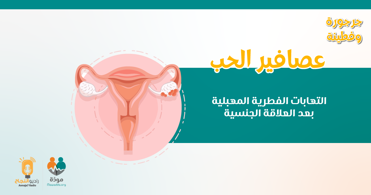 عصافير الحب: الالتهابات الفطريَّة بعد ممارسة العلاقة الجنسيَّة الزوجيَّة