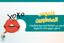 قاموس المخطوبين: الحوار عن العلاقة الجنسيَّة وتوقعات ما قبل الزواج اثناء الخطوبة