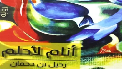 وماذا بعد الحلم في رواية أنام لأحلم؟