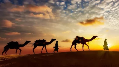 المُهَاجِرُ العَظِيْمُ؛ النبي محمّد عليه الصلاة والسلام