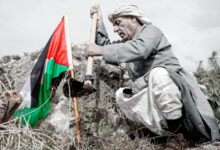 سرديَّة أسطورة الصمود الفلسطيني